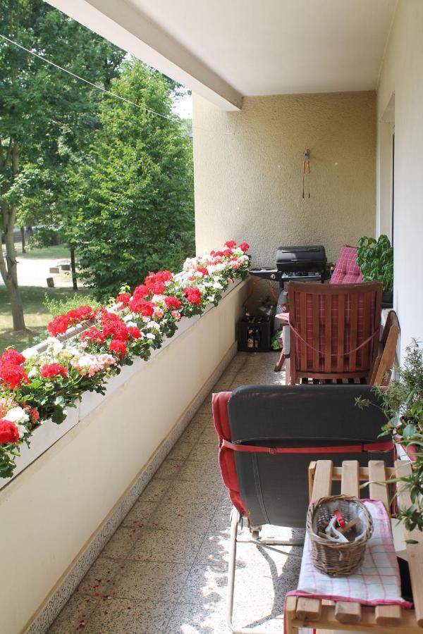 Bed & Breakfast Bonn 24 Mai Bis14 Juni Mit Hund In Der Wohnung Dış mekan fotoğraf
