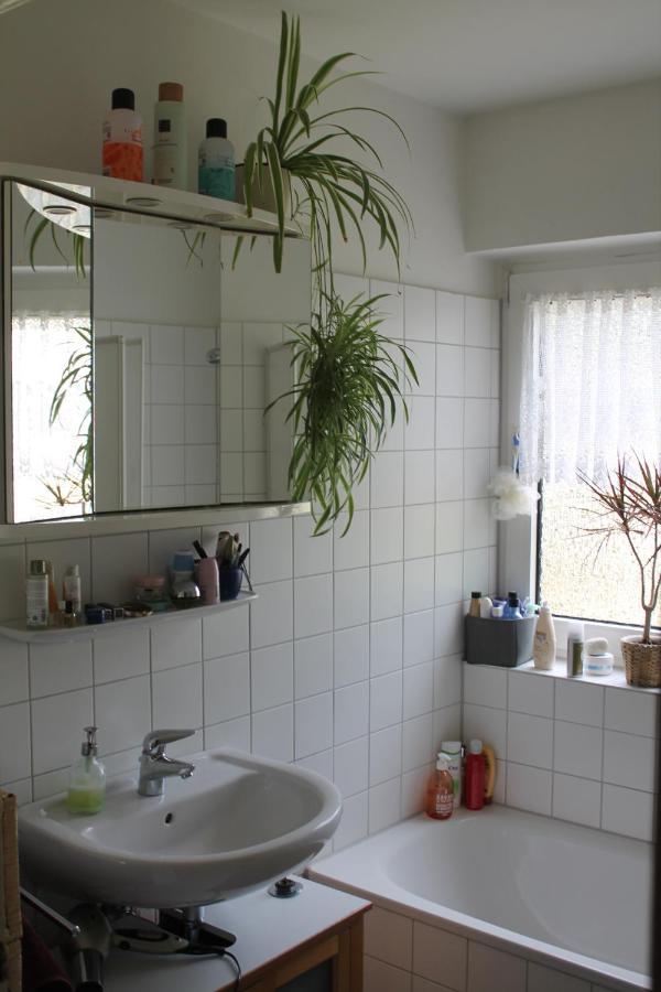 Bed & Breakfast Bonn 24 Mai Bis14 Juni Mit Hund In Der Wohnung Dış mekan fotoğraf