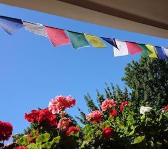 Bed & Breakfast Bonn 24 Mai Bis14 Juni Mit Hund In Der Wohnung Dış mekan fotoğraf