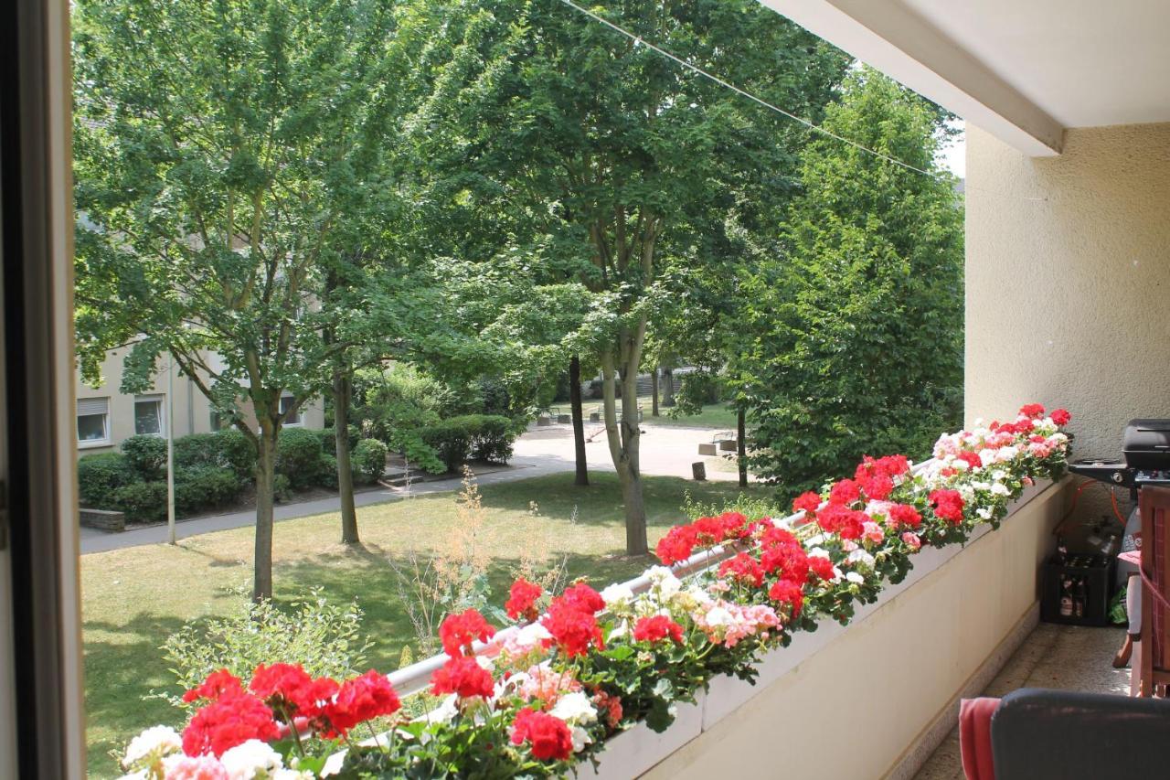 Bed & Breakfast Bonn 24 Mai Bis14 Juni Mit Hund In Der Wohnung Dış mekan fotoğraf